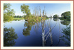 truepictures.eu landscapes out of water: the river Alt-Oder nearby Schwerin in Germany conveys the impression that times stood still for ages