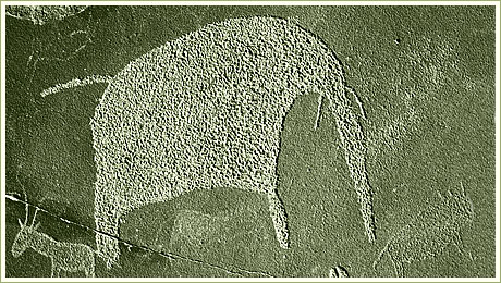 Das Foto des Monats auf truepictures.eu vom Fotografen und Fotojournalisten Dirk Skorski