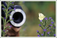 The macro photography also counts as one of the repertoire of photographer and photo journalist Dirk Skorski, Spandauer Forest, Berlin